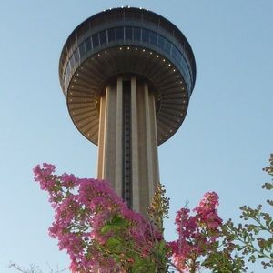 Meet your Posher, Abbey